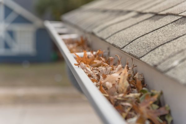 Leaf Barrier Installation in Mandeville